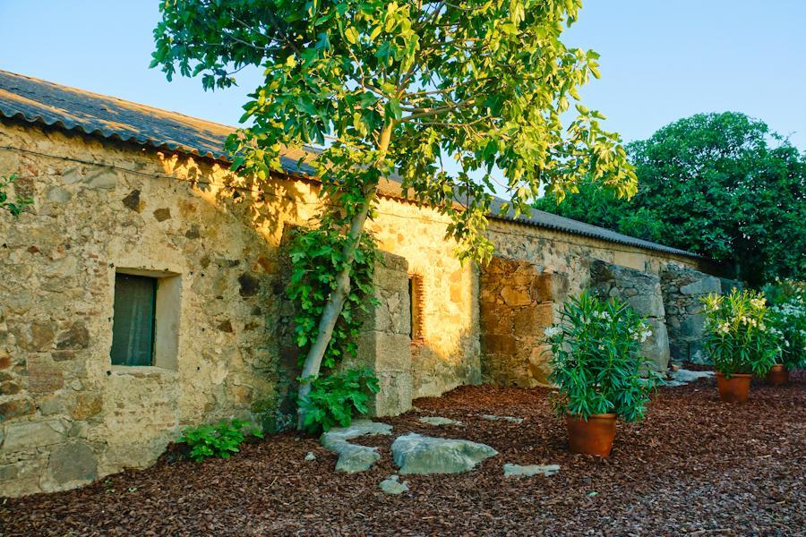 Casa Rural Castillo De กาเซเรส ภายนอก รูปภาพ