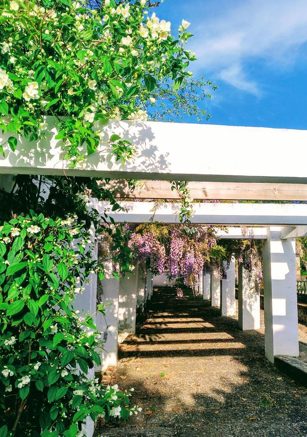 Casa Rural Castillo De กาเซเรส ภายนอก รูปภาพ